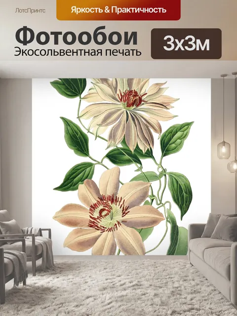 Фотообои Винтажные иллюстрации искусства цветы
