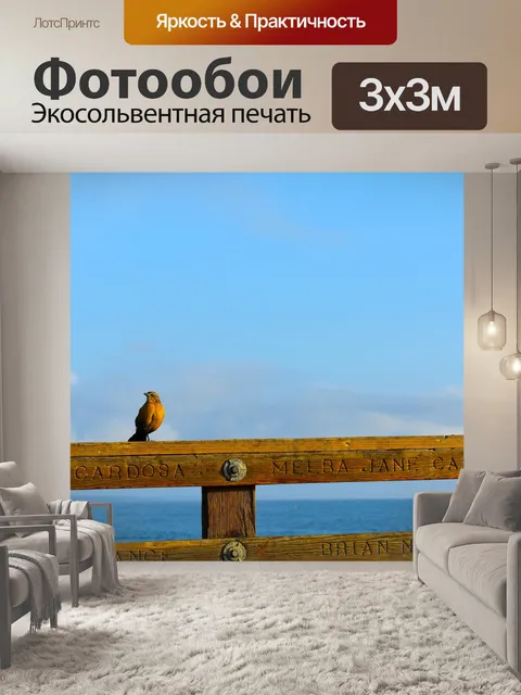 Фотообои Птица