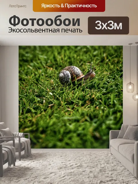 Фотообои Улитка