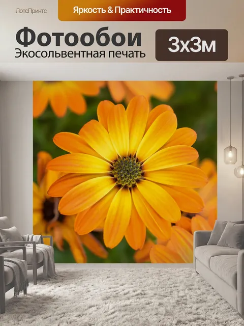 Фотообои Оранжевый цветок