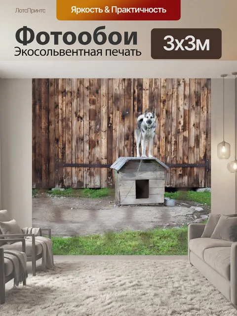 Фотообои Собака