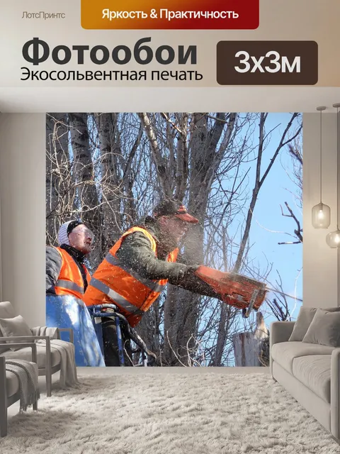 Фотообои Спил
