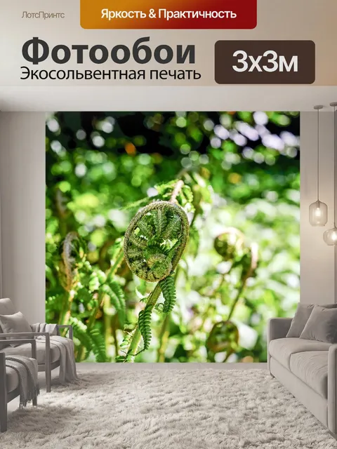 Фотообои Папоротник