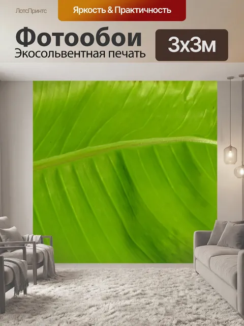Фотообои Зеленый сад Фон