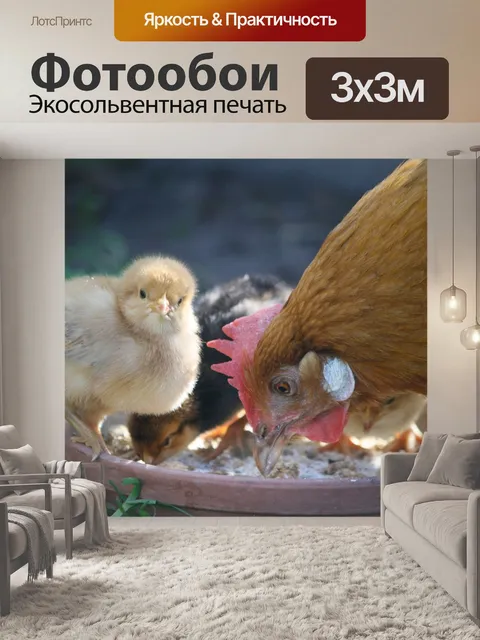 Фотообои Цыплята