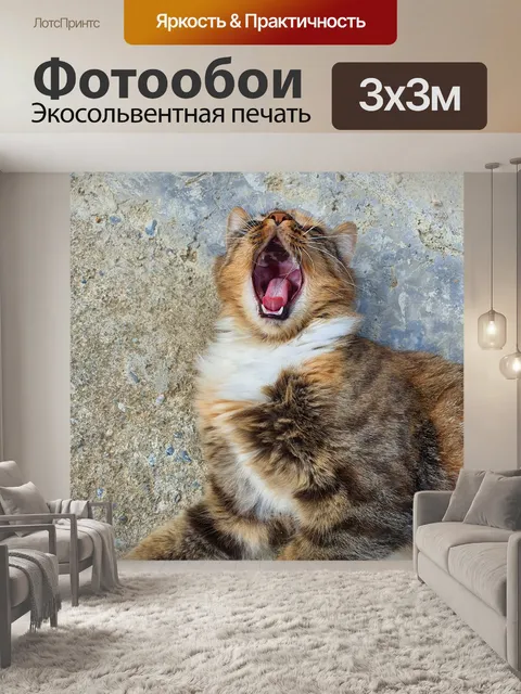 Фотообои Зевать
