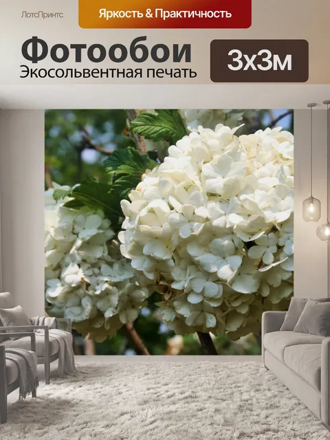 Фотообои белый гортензия