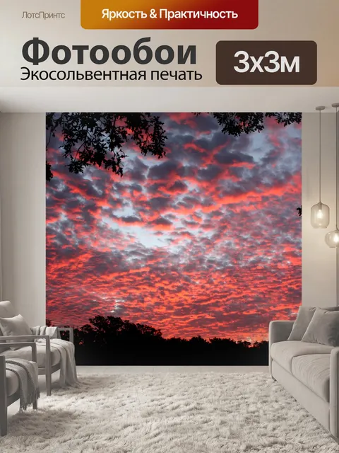 Фотообои Драматический восход солнца