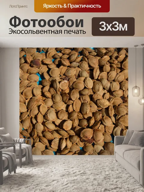 Фотообои куча абрикосовых косточек