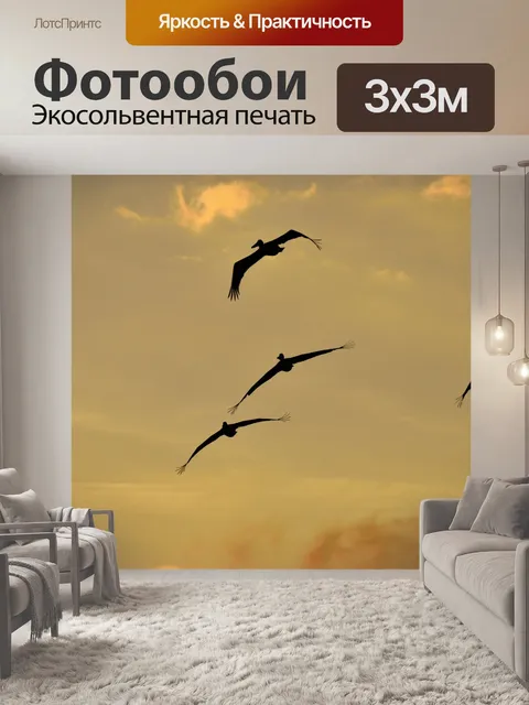 Фотообои Пеликан Полет над рекой
