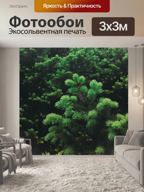 Фотообои Ель