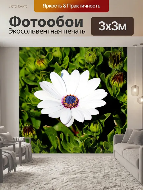 Фотообои Увидеть супер максимум
