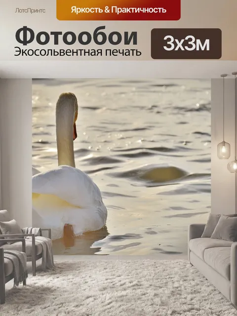 Фотообои Лебедь