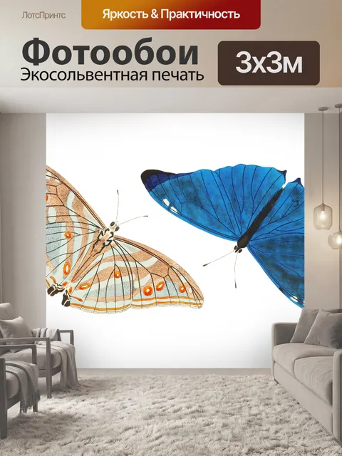 Фотообои Бабочка моли мотылек винтаж