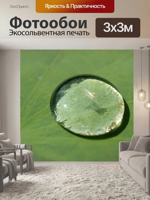 Фотообои Цветок лотоса
