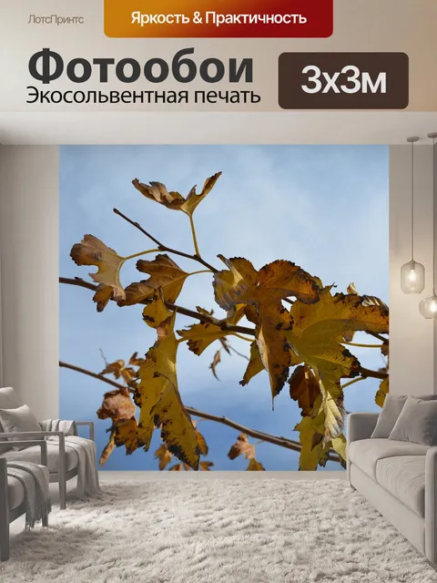 Фотообои Осень
