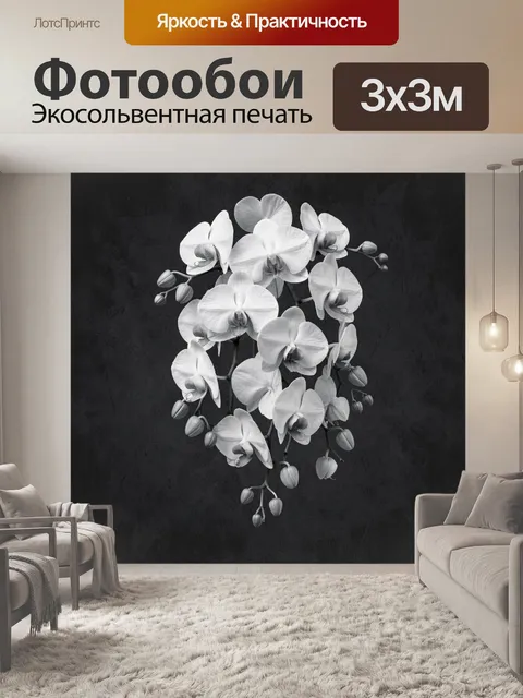 Фотообои Белые орхидеи на темном фоне