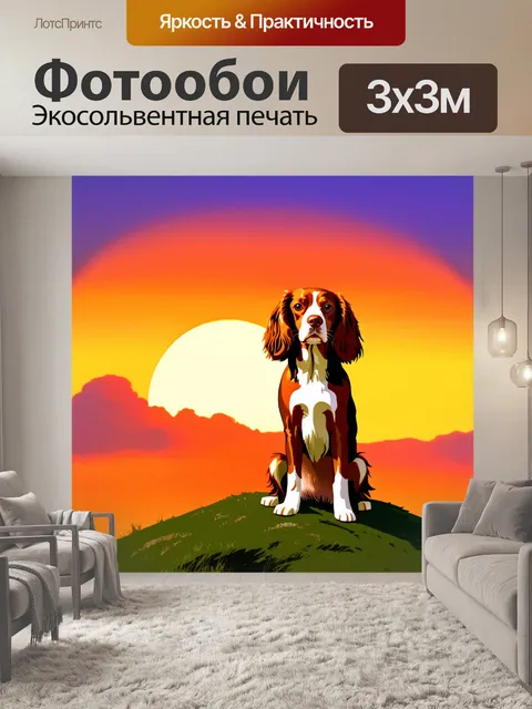 Фотообои спаниель, гордо сидящий на холме на фоне яркого заката, его шерсть переливается