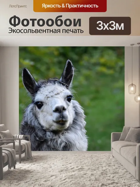 Фотообои Альпака