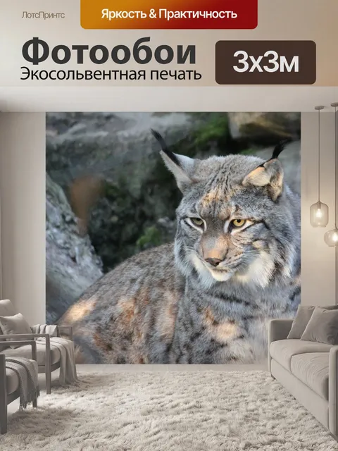Фотообои Рысь