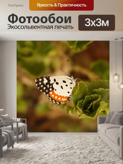 Фотообои Бабочка