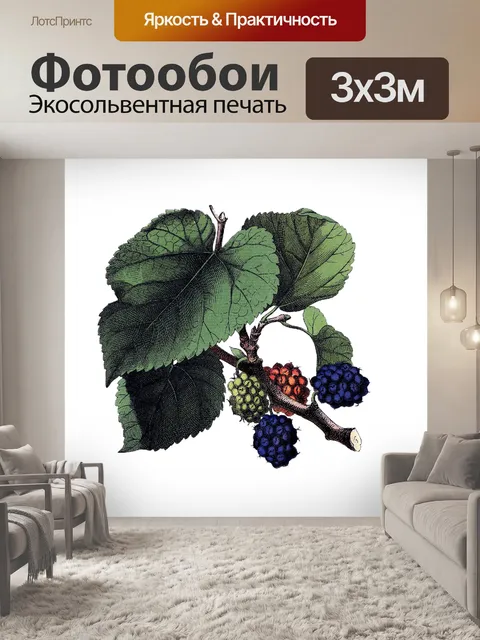 Фотообои Винтажное искусство тутового дерева