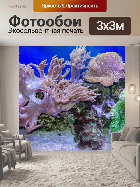 Фотообои Тропический морской водой с кораллами