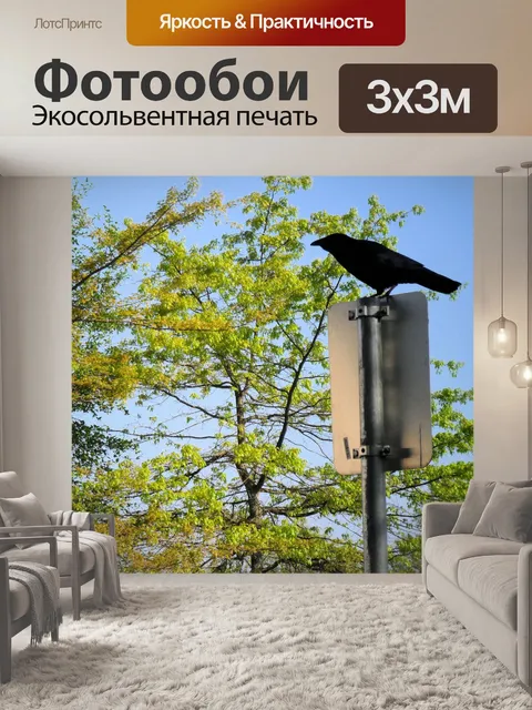 Фотообои Ворона на полюсе