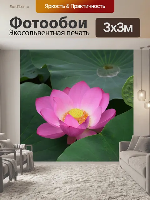 Фотообои Lotus