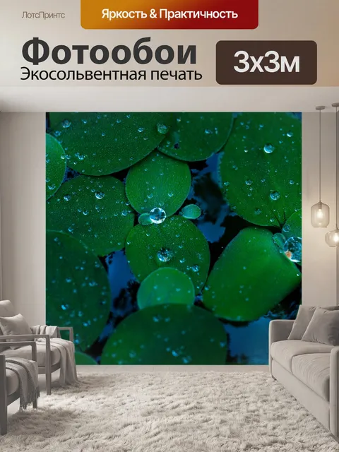 Фотообои Водяной гиацинт