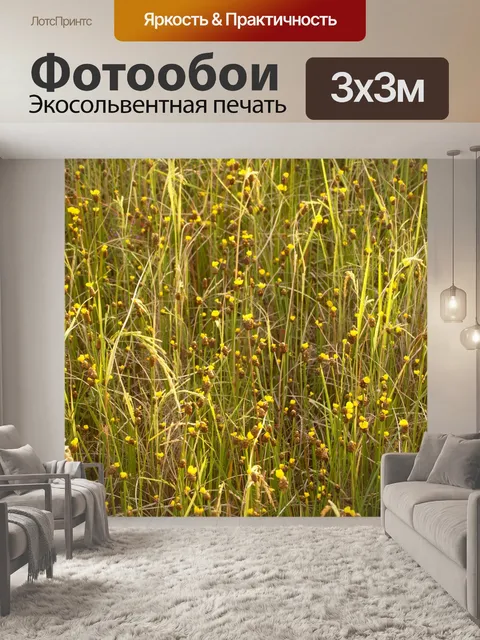 Фотообои Цветки одичалые Стоковая Фотография