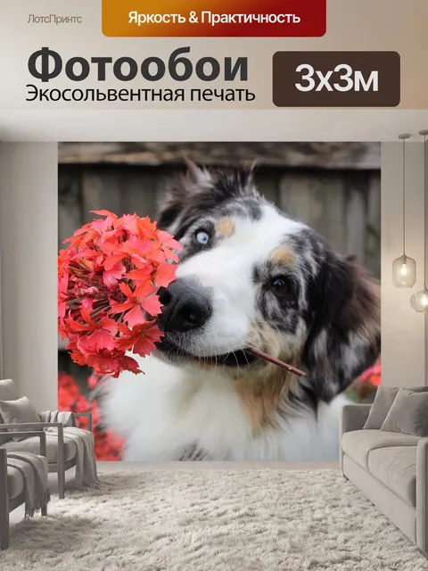 Фотообои Цветы