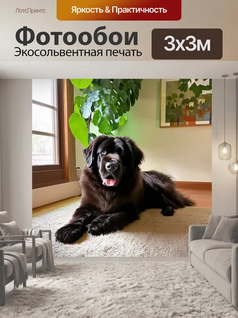 Фотообои плотный и пушистый ньюфаундленд, с блестящей черной шерстью, мирно лежит на теплом ковре в уютной гостиной