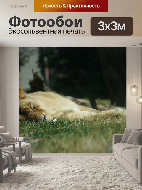 Фотообои Львица
