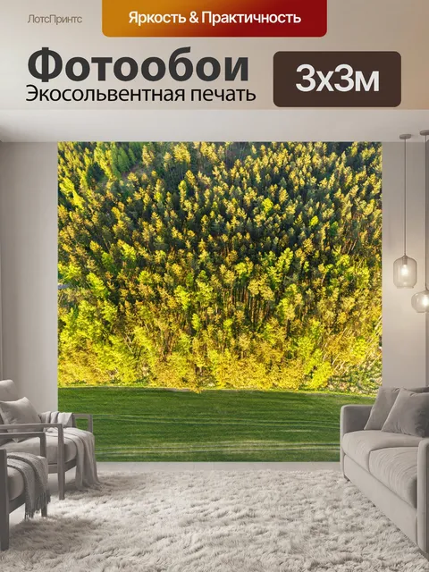 Фотообои Вид с воздуха на вершинах деревьев