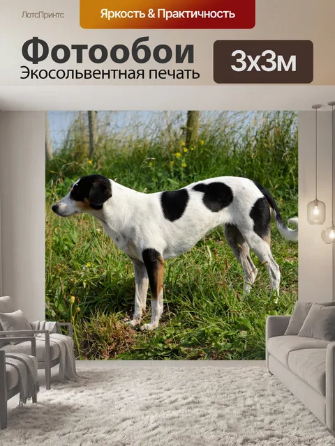 Фотообои Собаки 2,10