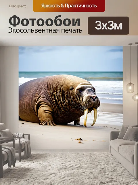 Фотообои животные в стиле текстуры, изображающие моржа на берегу, с детализированными текстурами его бивней и шкурки