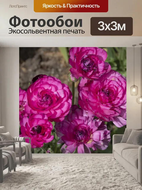 Фотообои Розовые пионы цветут