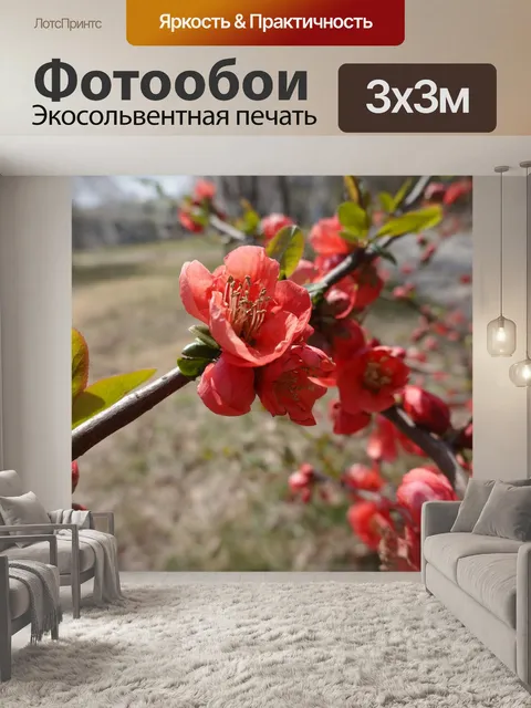 Фотообои Цветок