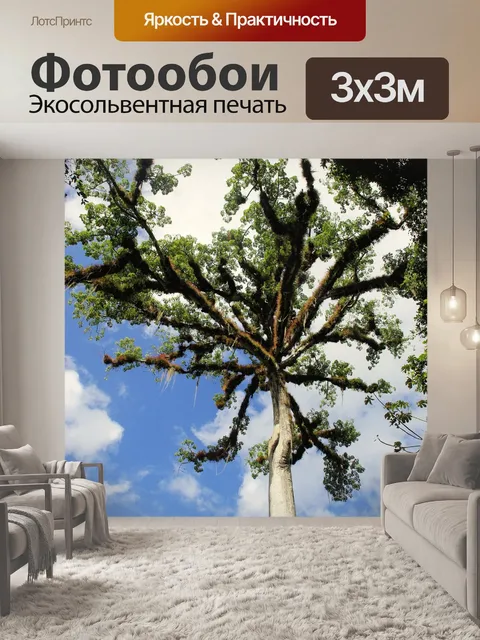 Фотообои Гватемала