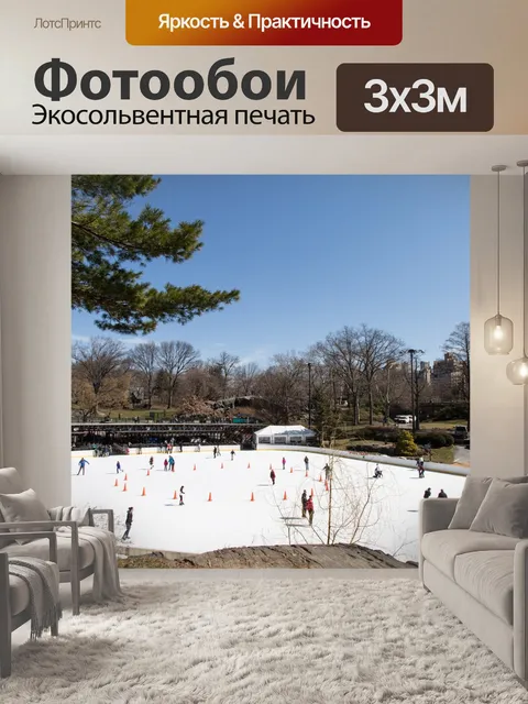 Фотообои Каток в Центральном парке