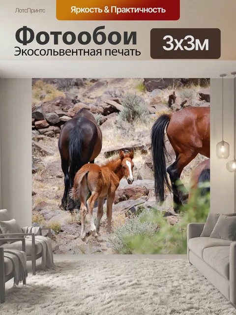 Фотообои Мустанг