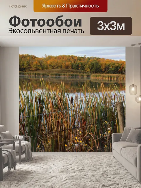 Фотообои Озеро с Рогозом осенью