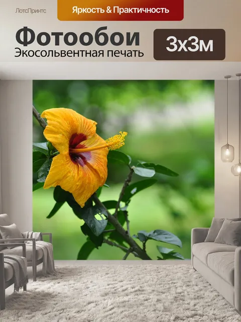 Фотообои Желтый гибискус