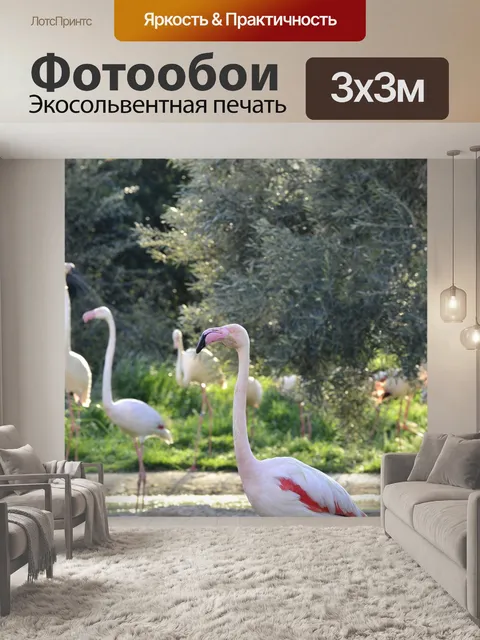 Фотообои Птицы