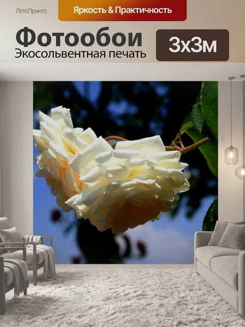 Фотообои кремовые розы