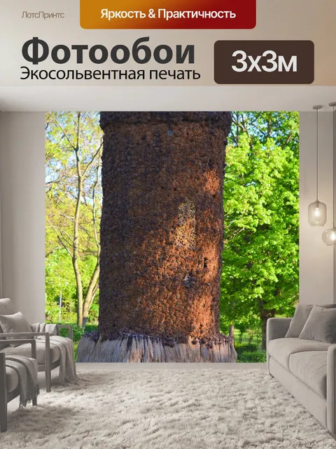 Фотообои Тырговиште