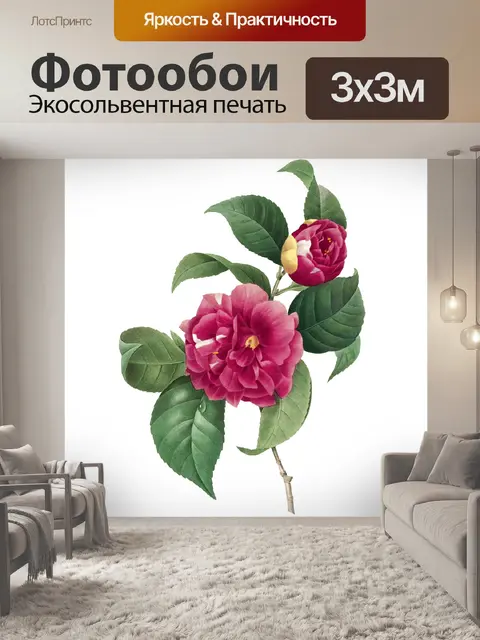Фотообои Пион старая винтажная картина