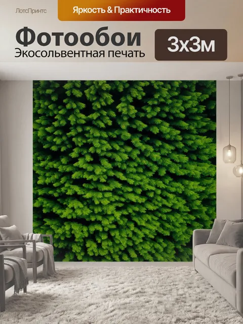 Фотообои текстура вечнозеленого хвойного леса