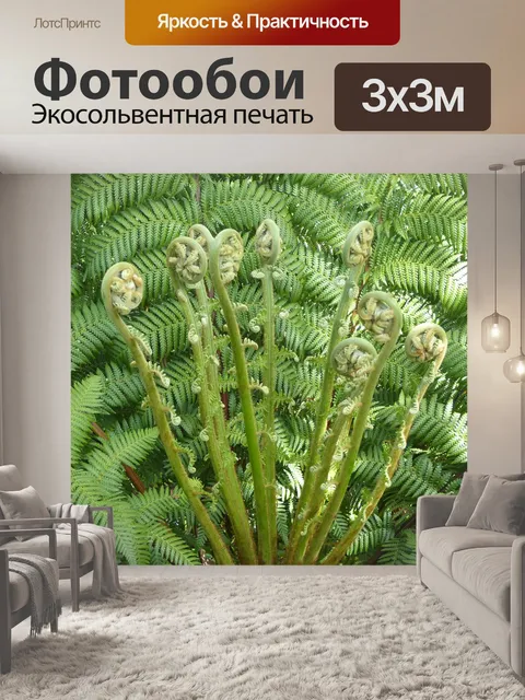 Фотообои Папоротник